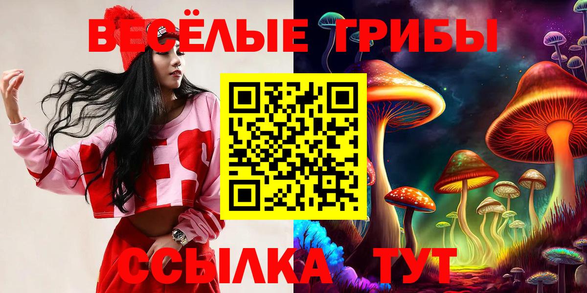 Псилоцибиновые грибы мухоморы  Вход с VPN  Чита 